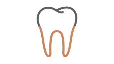 Spark Aligners TruRoot Feature - Shape Icon
