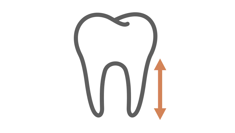Spark Aligners TruRoot Feature - Size Icon
